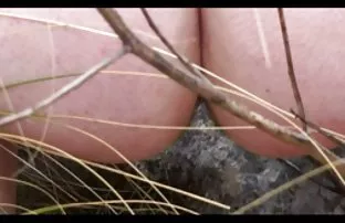 XXX sonra busty sarışın anne Alyssa Lynn sikikleri, götten anal izle Eva Yi ciddiye alıyor