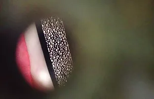 XXX Kızlar çok hızlı turkpornoanal büyürler ve bu harika adım baba saygı duymak ister,
